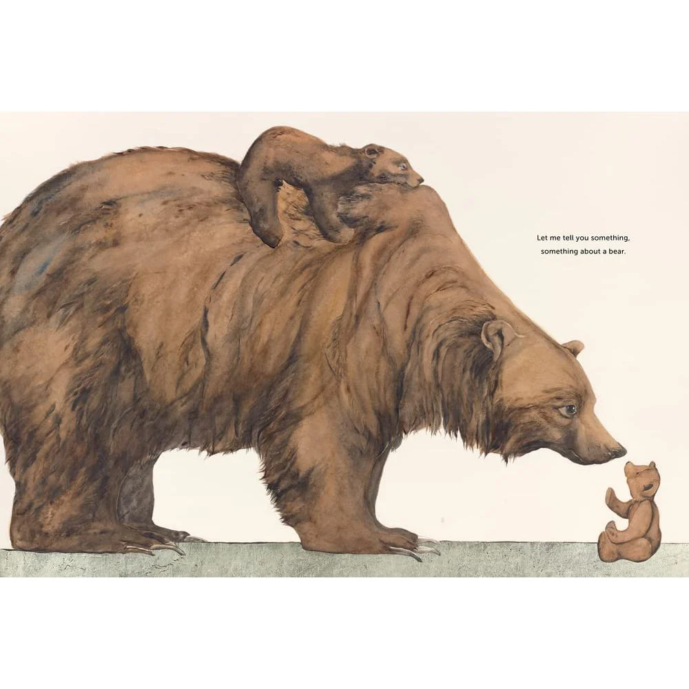 Something About A Bear - Jackie Morris - Signed Copy✨ - Image 4