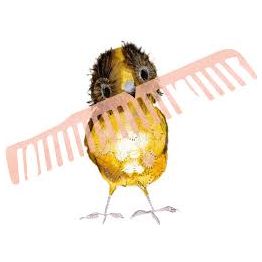 The Bowerbird - Julia Donaldson - Image 4