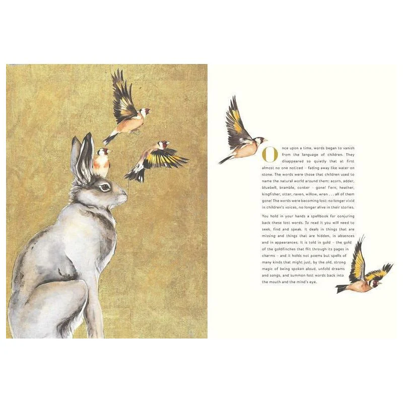 The Lost Words - Robert Macfarlane  - Jackie Morris - Signed Copy✨ - Image 2