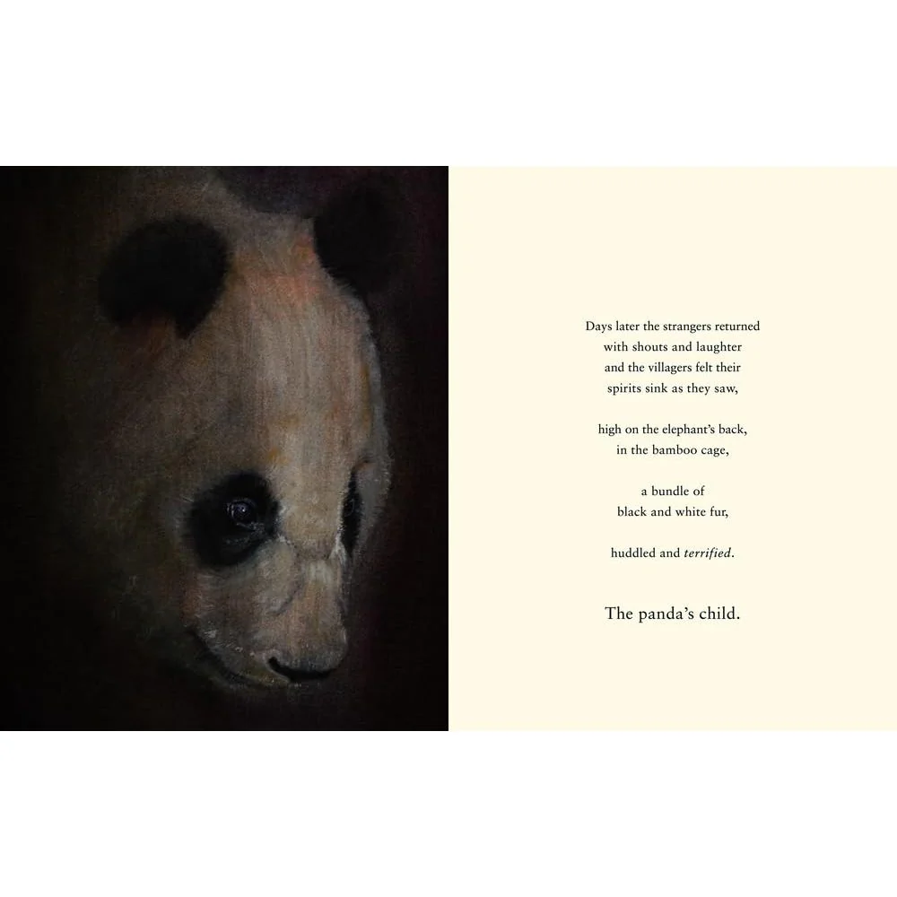 The Panda's Child - Jackie Morris - Signed Copy✨ - Image 5