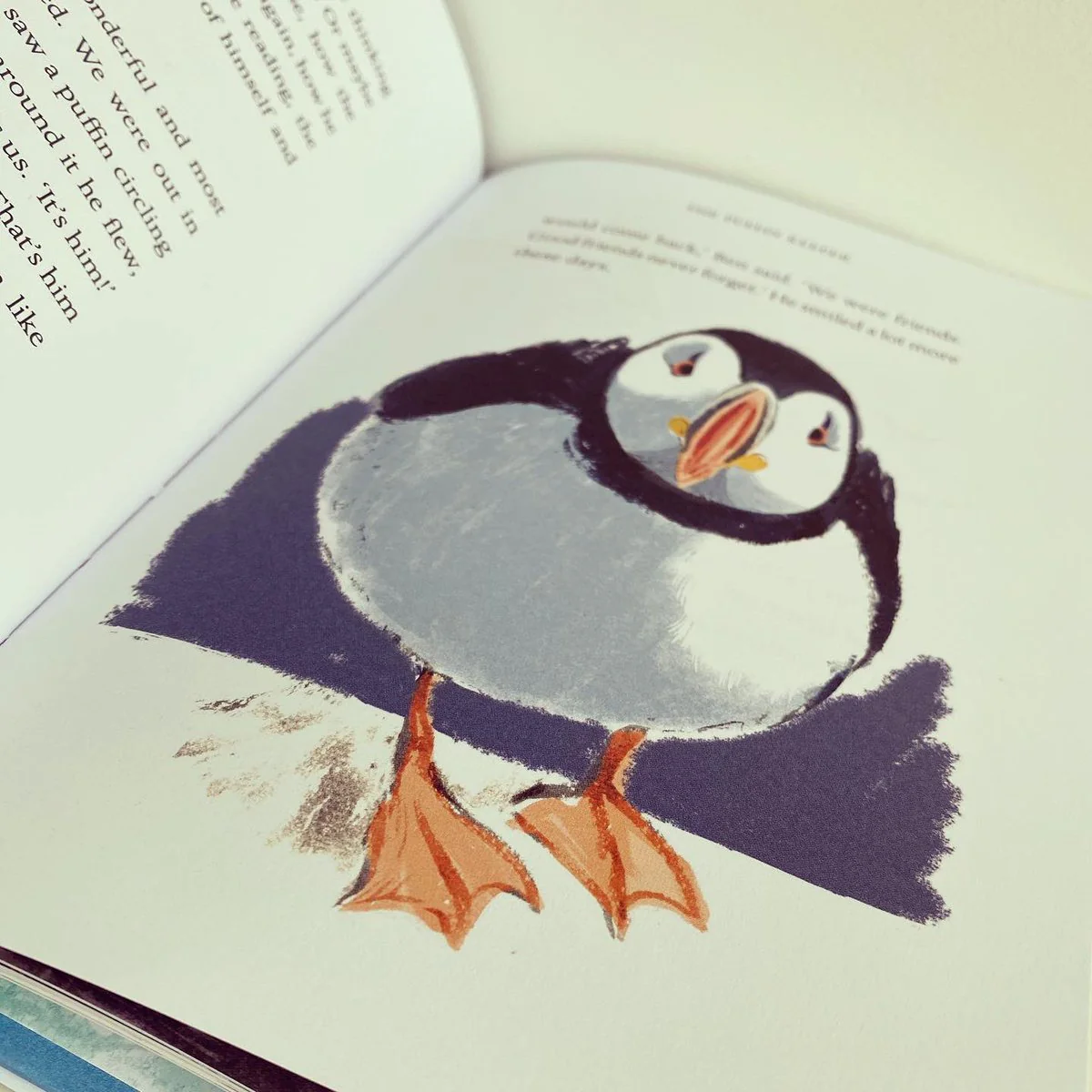 The Puffin keeper - Michael Morpurgo - Image 5