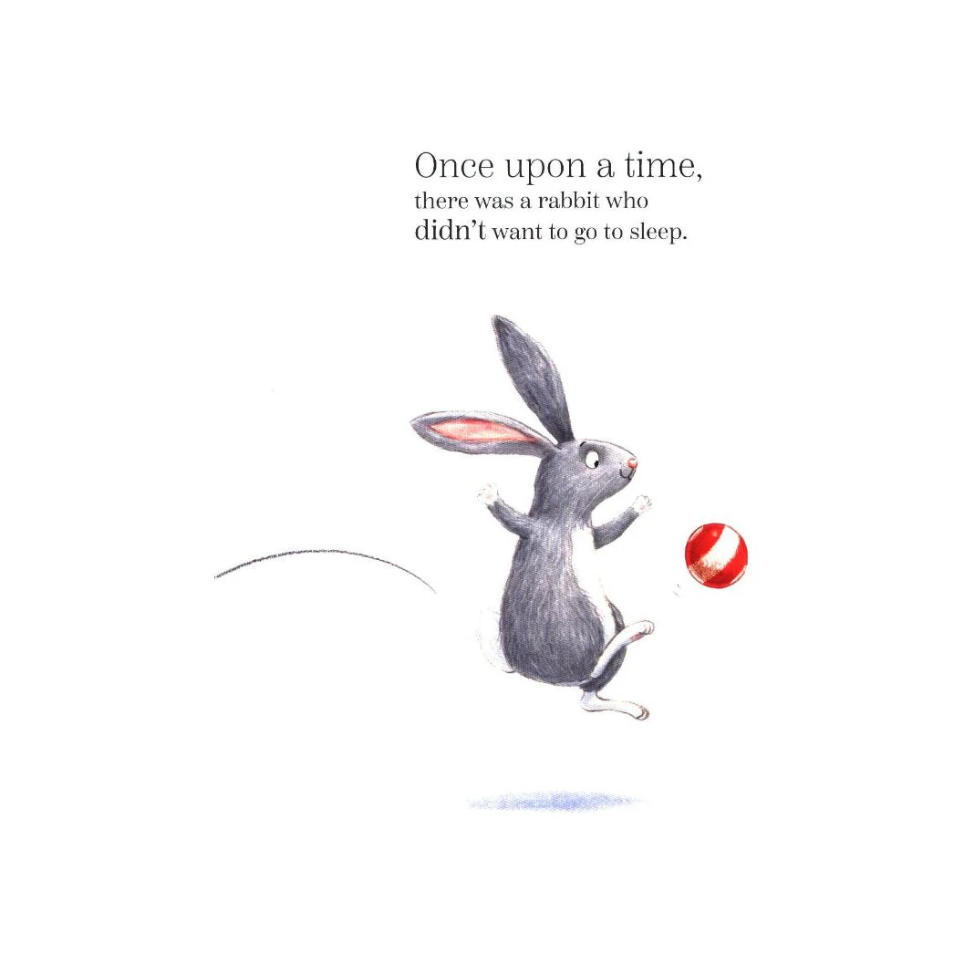 The Rabbit the Dark and the Biscuit Tin - Image 2