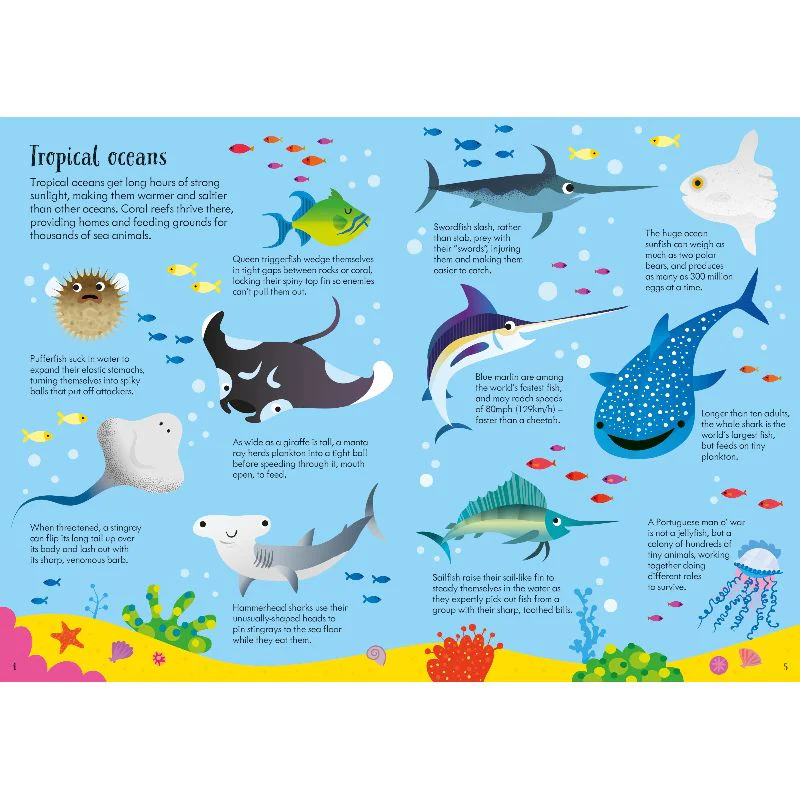 Usborne Book & Jigsaw - Animals Of The World - Image 3