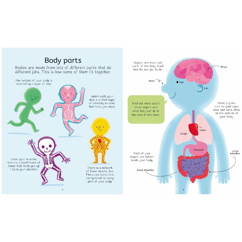Usborne Book and 100 piece Human Body Jigsaw - Image 4