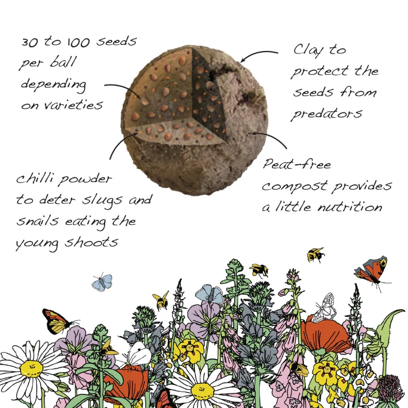 Wildflower - Save the Bees Mini Tins - Image 4
