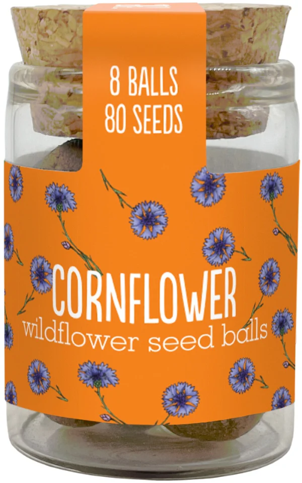 Wildflower Seedball Jars - Image 10