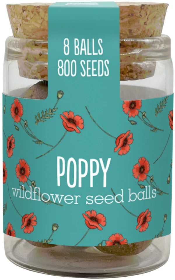 Wildflower Seedball Jars - Image 11