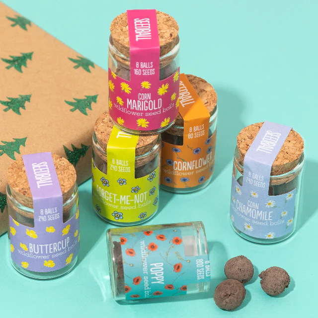 Wildflower Seedball Jars - Image 4