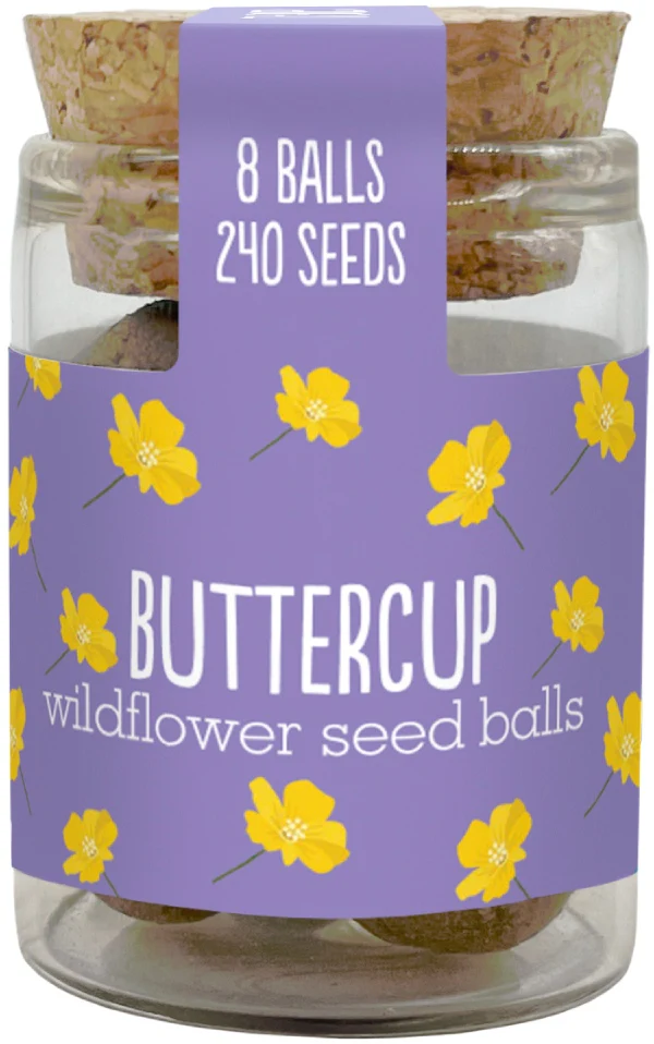 Wildflower Seedball Jars - Image 6