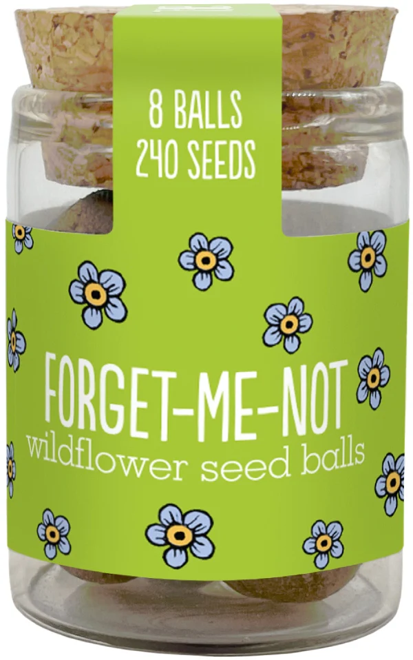 Wildflower Seedball Jars - Image 7