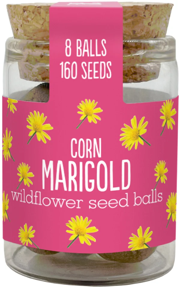 Wildflower Seedball Jars - Image 8