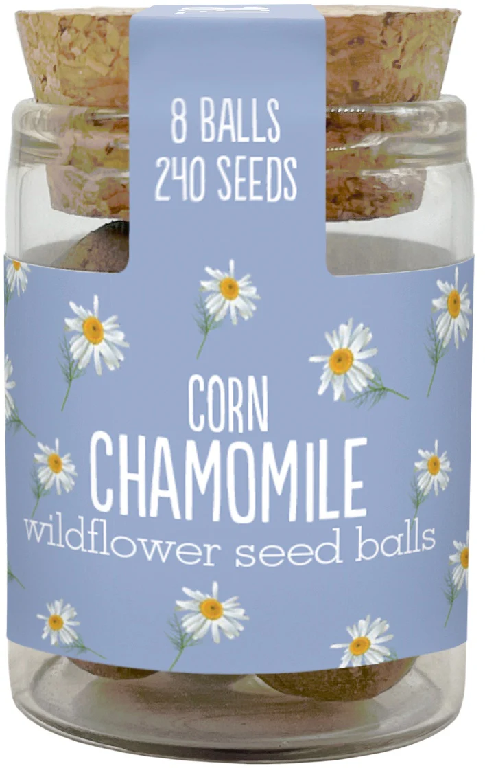 Wildflower Seedball Jars - Image 9